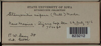 Image Associated With the Occurence